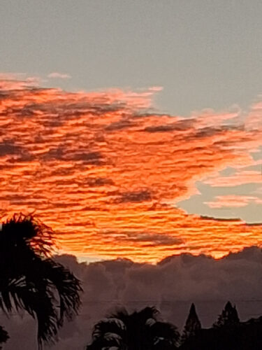 Photo of the Day: A new day has come